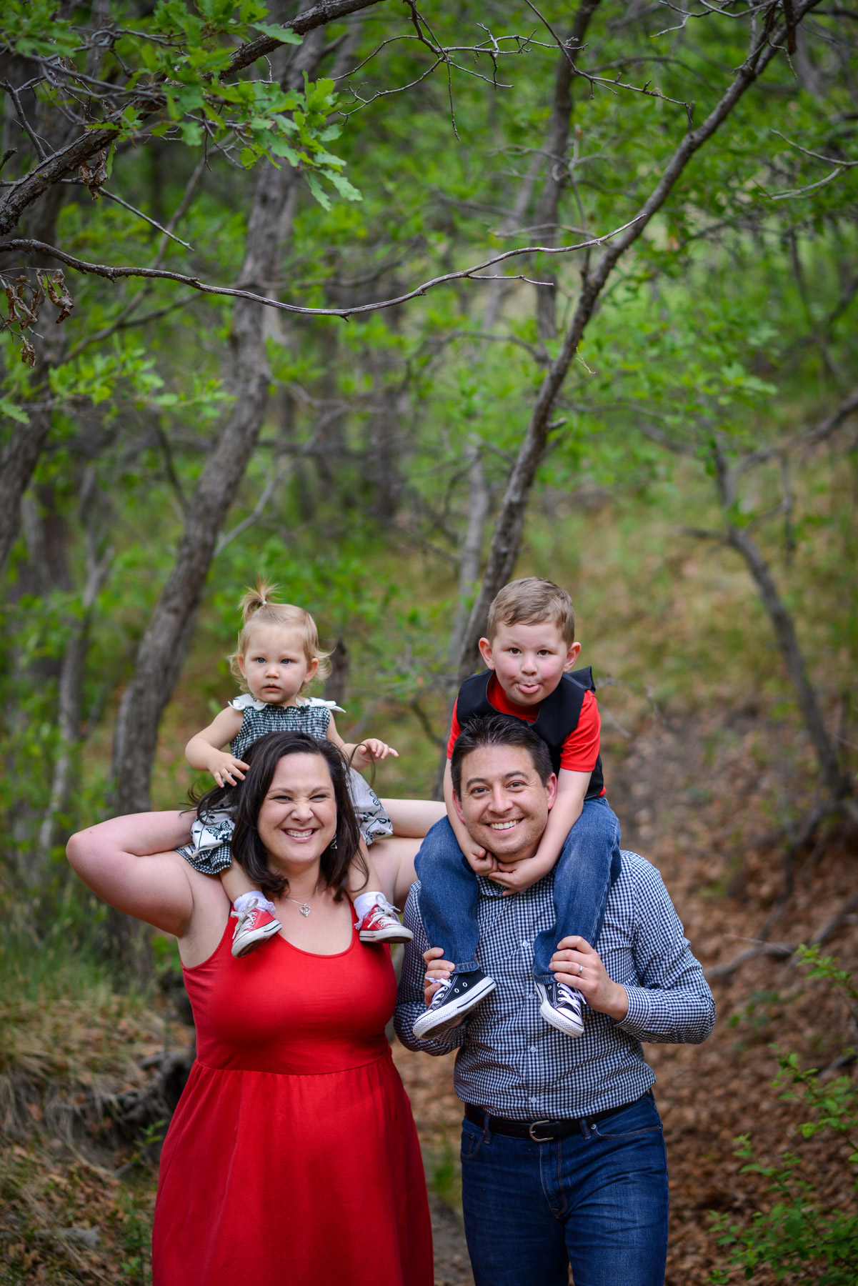 best colorado springs photographer